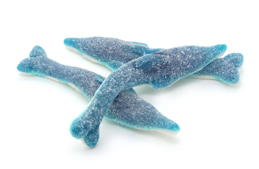 Fizzy Big Dolphin